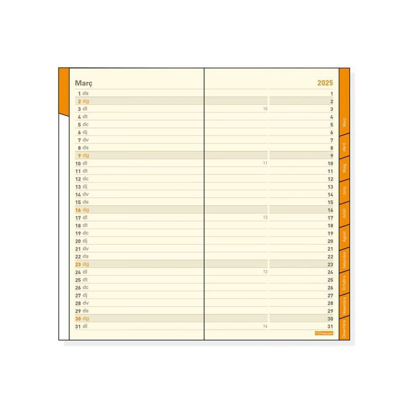 8422952389255-Finocam Plan - Recharge pour agenda - 2025 - mois à afficher - PL4 - 80 x 150 mm-P_405226631_2-0