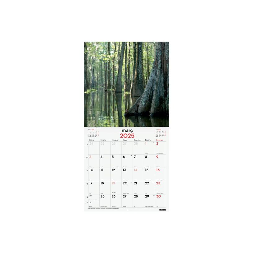 8422952383383-Finocam - Calendrier - fixation murale - 2025 - nature - mois à afficher - 300 x 300 mm --P_405226924_3-0