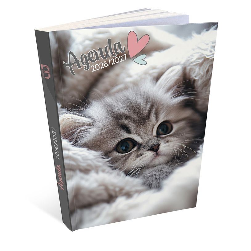 3592930027730-Agenda Chaton - 1 jour par page - 12 x 17 cm - Bouchut--0
