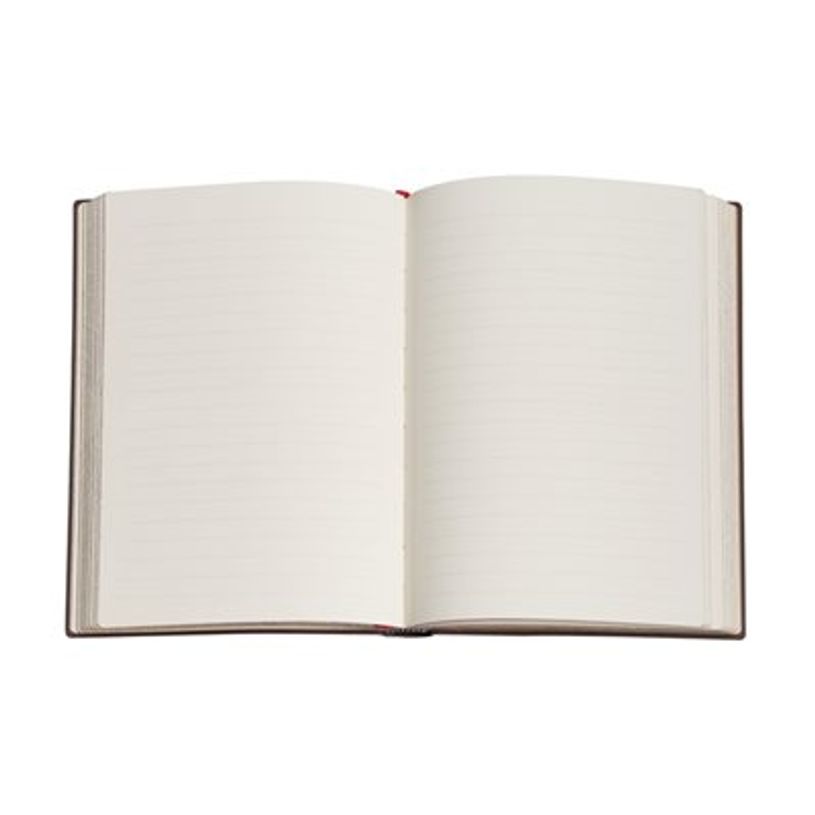 9781439796016-Journal  -  9 x 14 cm  - 176 pages - Porto  - multicolore - Paperblanks-P_405227560_7-5