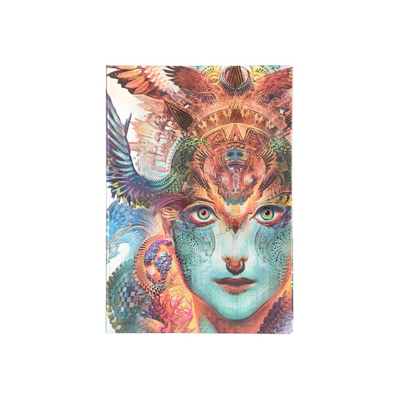 9781439796184-Bloc d'esquisse  -  20,5 x 30 cm  - 112 pages - dharma dragon  - multicolore - Paperblanks-P_405227641_1-0