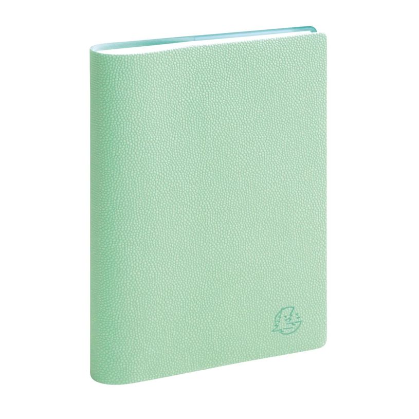 3660942087841-Agenda de poche spiralé 16 mois Joy - 1 semaine sur 2 pages - 10 x 15 cm - Pistache - Exacompta--0