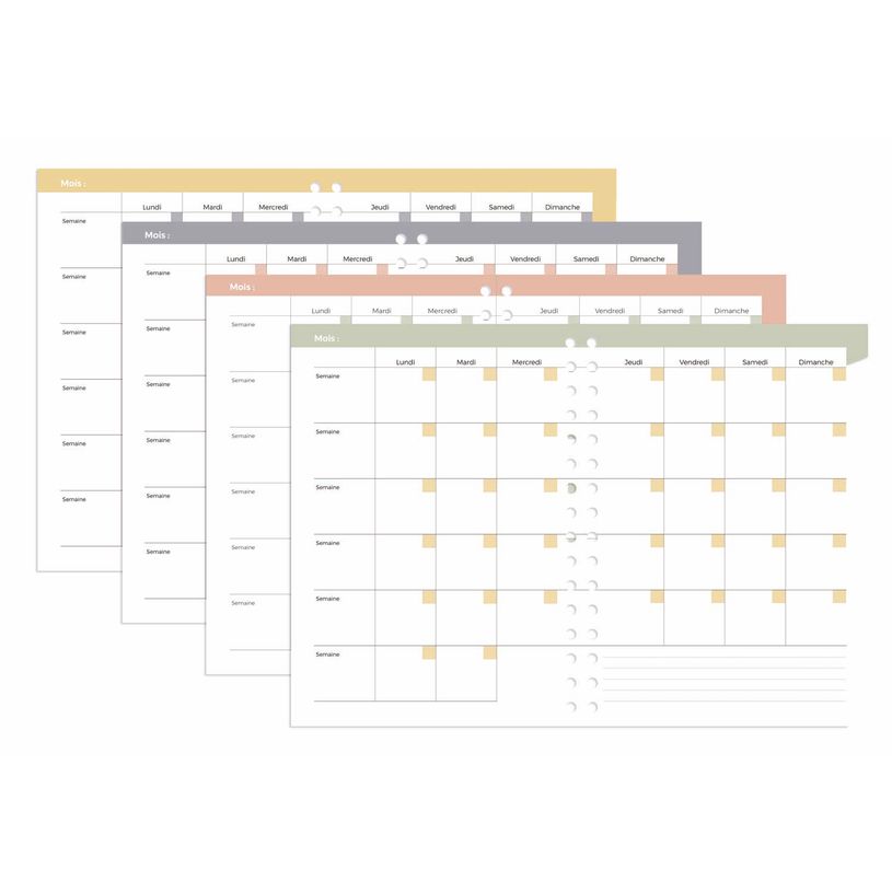 3371010531653-AGENDA 21 S PERPETUEL FR Eterny - Fleurs- 15x21 cm - Perpétuel - Quo Vadis--2