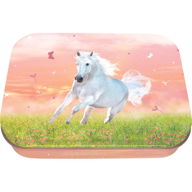 3664447195315-Boite a tout Cheval - 11 x 8 cm - Oberthur--0