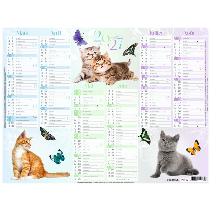 3664447218618-Calendrier Chaton - 6 mois par face - 32 x 42 cm - Oberthur--1