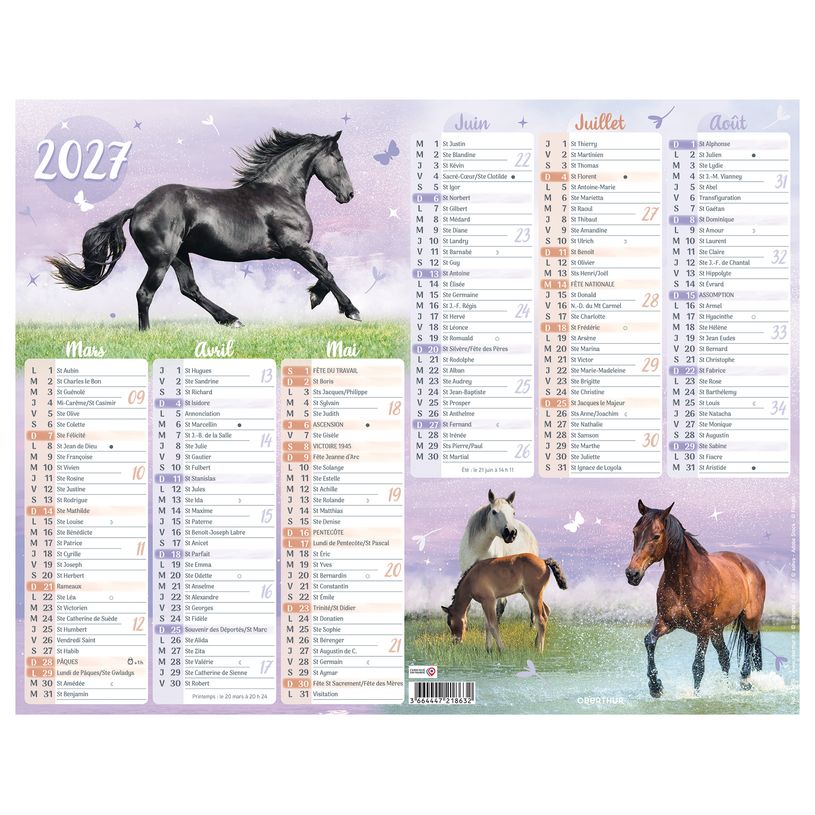 3664447218632-Calendrier Cheval - 6 mois par face - 21 x 26,5 cm - Oberthur--1