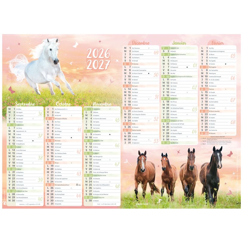 3664447218656-Calendrier Cheval - 6 mois par face - 55 x 40,5 cm - Oberthur--0