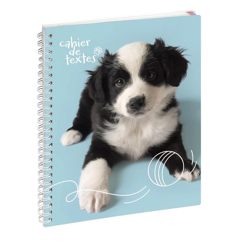 3660942087070-Cahier de textes à spirale Animaux - 17 x 22 cm - chiot balle - Exacompta-P_405228032_1-0