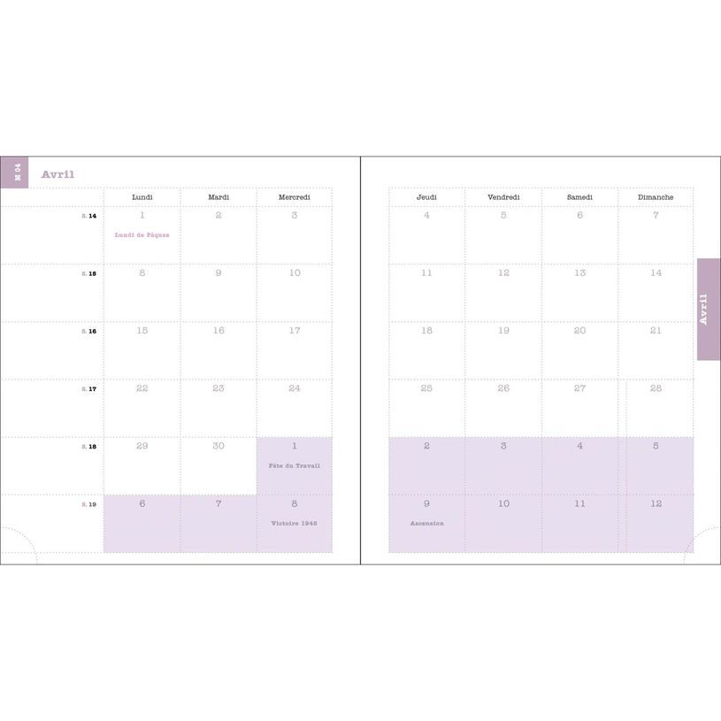 3660942087186-Agenda de bureau spiralé Color Design - 1 semaine sur 2 pages - 15 x 17 cm - tournesols --P_405228035_3-2