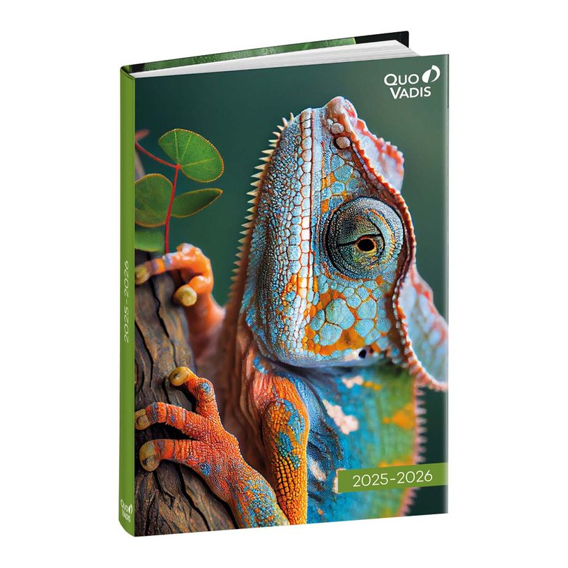 Agenda Scolaire Quo Vadis 2025-2026 - Journalier - Format 12x17 Cm - Motif 'Mes Potes-pattes' - Multilingue