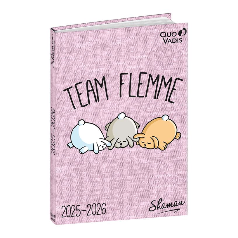 3371010529926-EUROTEXTAGENDA ML Shaman - Flemme - 12x17 cm - Journalier - 12 mois de août à juillet - -P_405228178_1-0