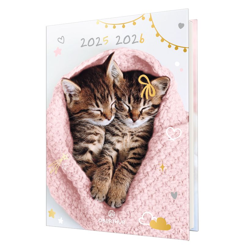 3664447220796-Agenda Chaton tendre duo - 1 jour par page - 12,5 x 17,5 cm - Oberthur-P_405228357_1-0