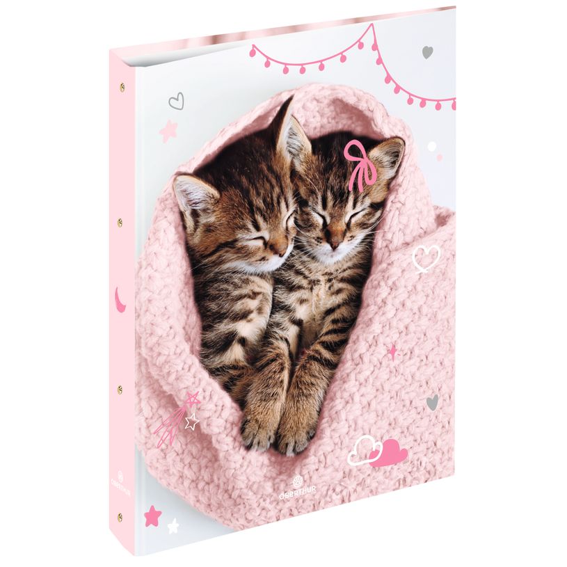 3664447197739-Classeur A4 dos 40 chaton tendre duo - 25 x 32 cm - Oberthur-P_405228359_1-0