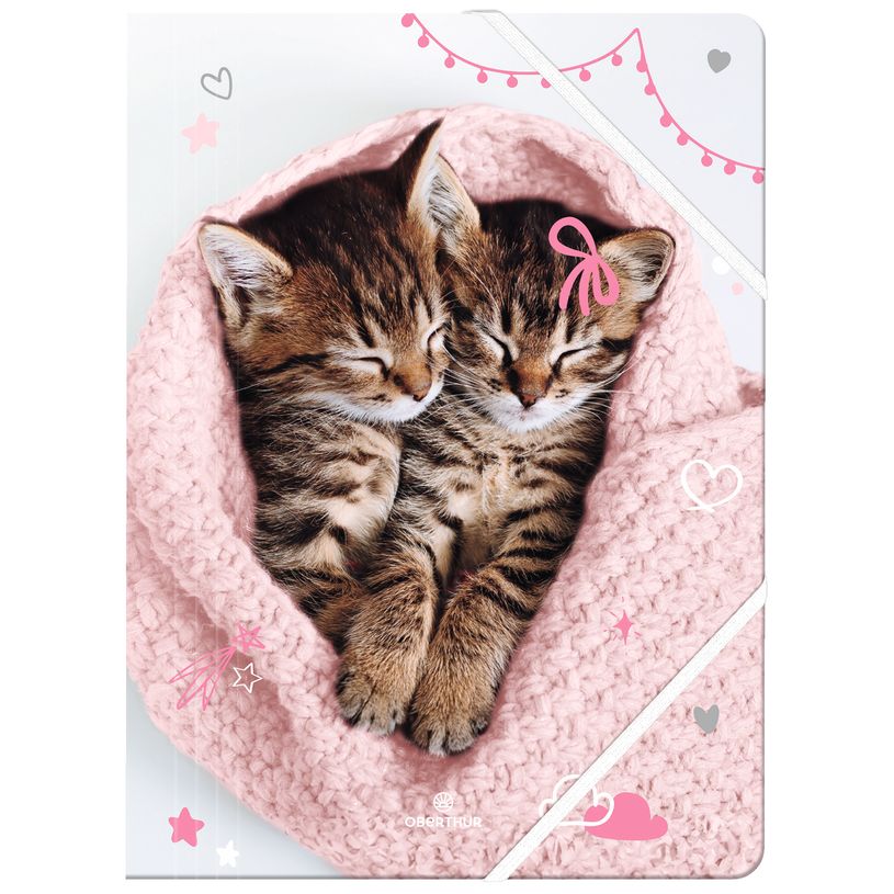 3664447197746-Chemise A4 chaton tendre duo - 24 x 32 cm - Oberthur-P_405228360_1-0