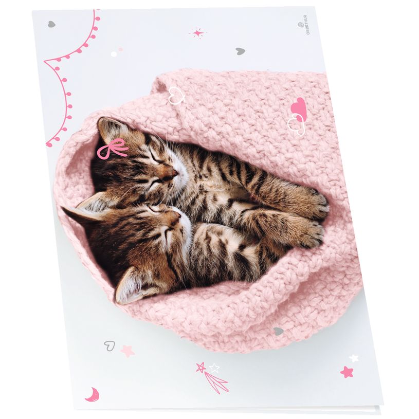 3664447197753-Sous-main double chaton tendre duo -  55 x 37 cm - Oberthur-P_405228361_1-0