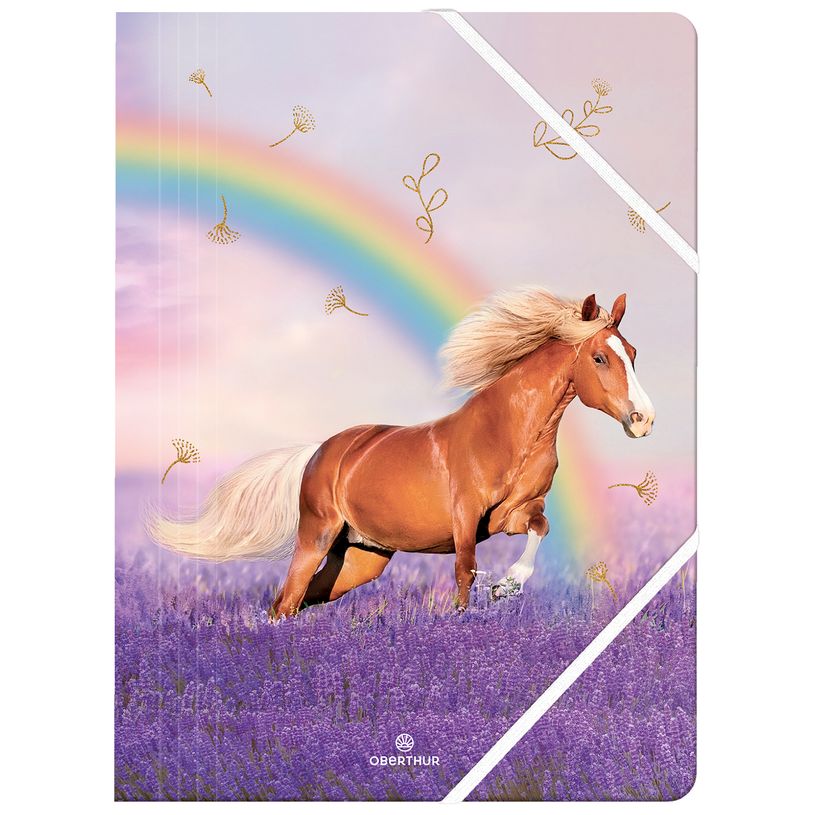 3664447195469-Chemise A4 Cheval - 24 x 32 cm - Oberthur-P_405228374_1-0