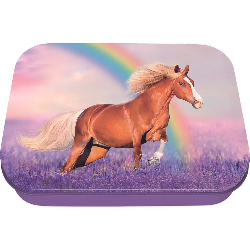 3664447195315-Boite a tout Cheval - 11 x 8 cm - Oberthur-P_405228376_1-0