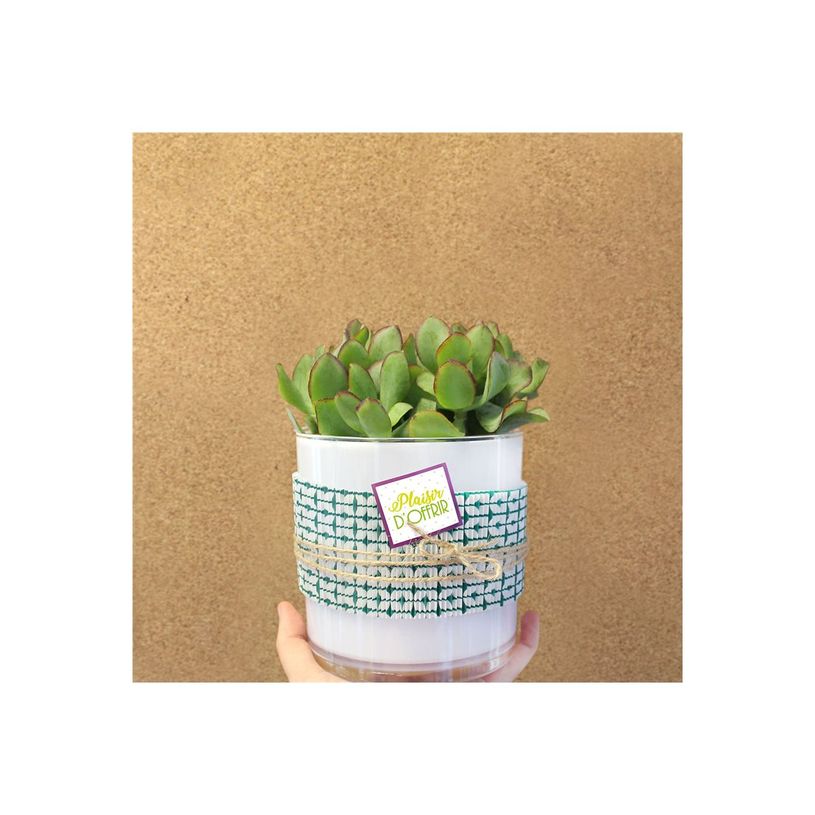 3281650479195-Créastyl Simple - Étiquettes cadeau "plaisir d'offrir" - 4 cm x 3.5 cm-P_405228826_4-1