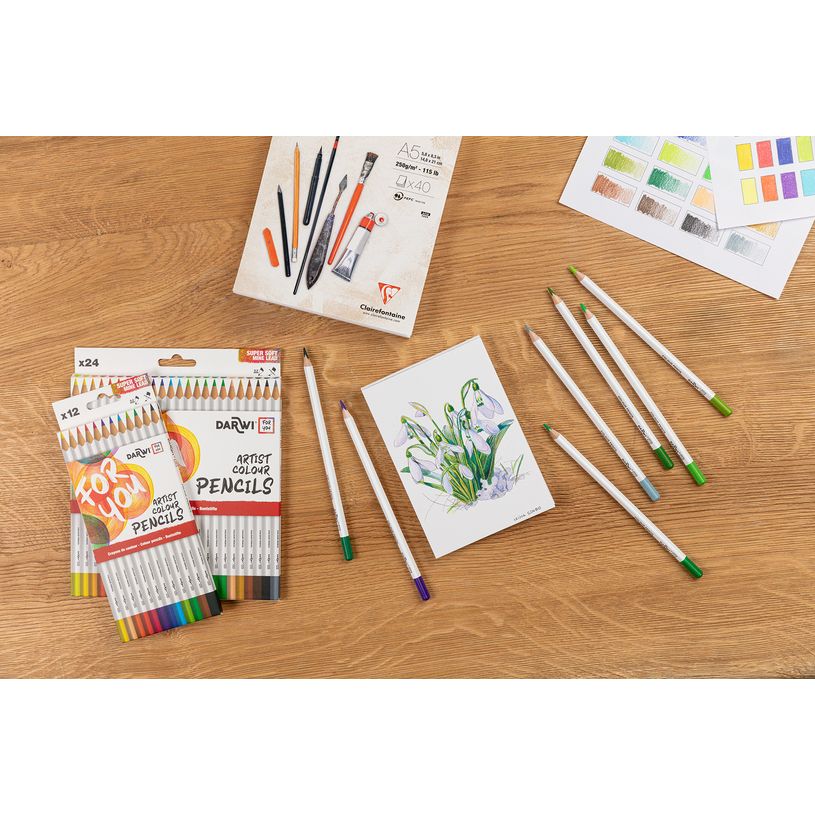 5411711463650-Darwi For You - Boite de 24 crayons de couleur Beaux-Arts-P_405230677_4-3