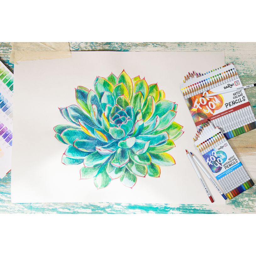 5411711463650-Darwi For You - Boite de 24 crayons de couleur Beaux-Arts-P_405230677_5-4