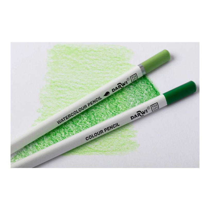 5411711463667-Darwi For You - Boite de 12 crayons de couleur aquarellables-P_405230678_10-7