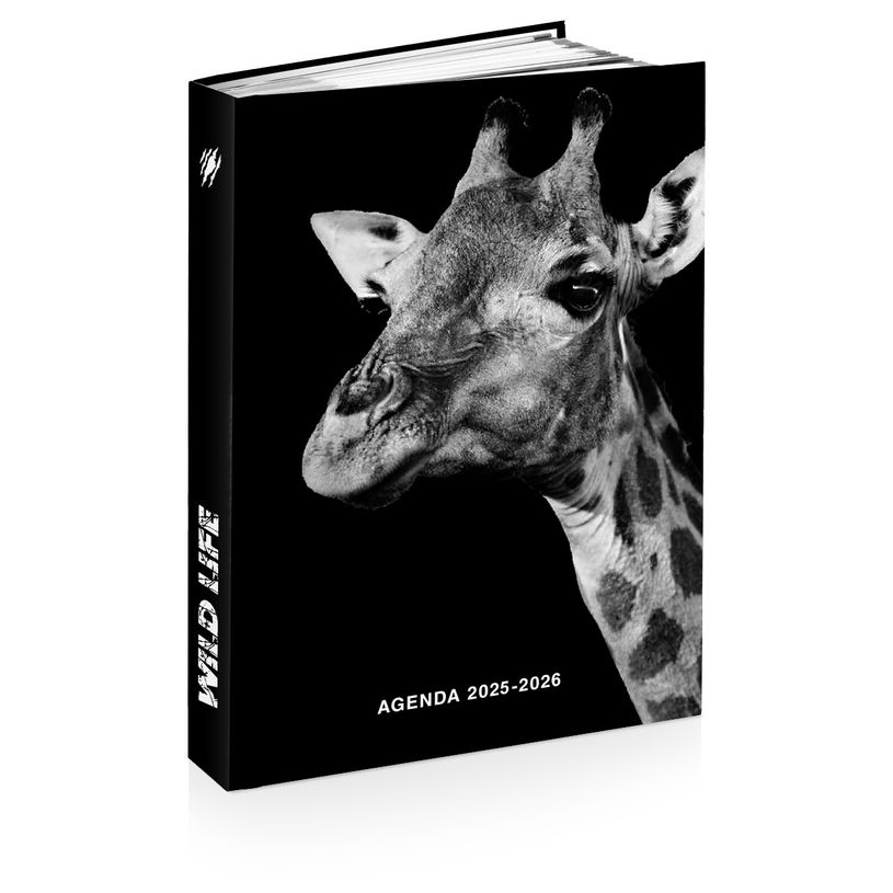 3661507015156-Agenda ANIMAUX WILD 12 x 17 cm - 3 modèles au choix - Kid'Abord-P_405231781_1-0
