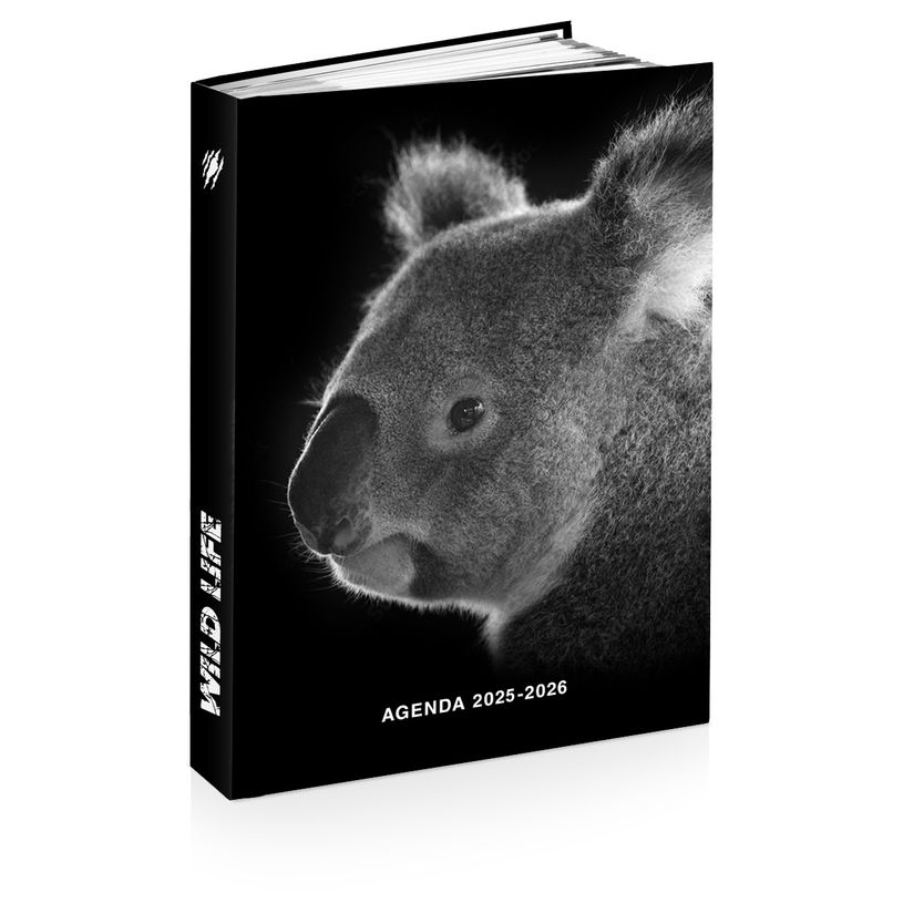 3661507015156-Agenda ANIMAUX WILD 12 x 17 cm - 3 modèles au choix - Kid'Abord-P_405231781_2-1