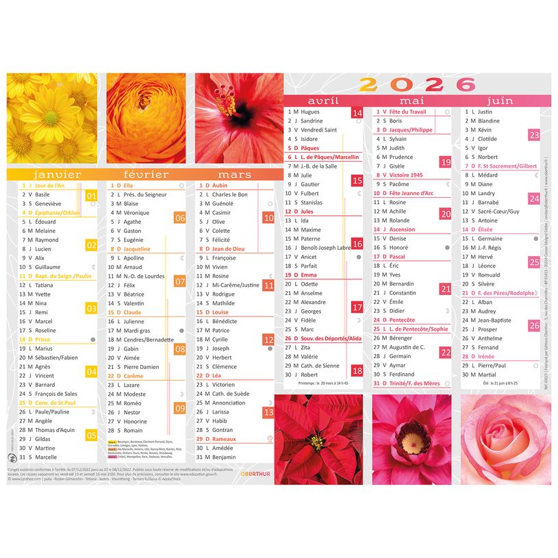 3664447193670-Oberthur - Calendrier fleurs - 6 mois par page - 520 x 405 mm - daté--0
