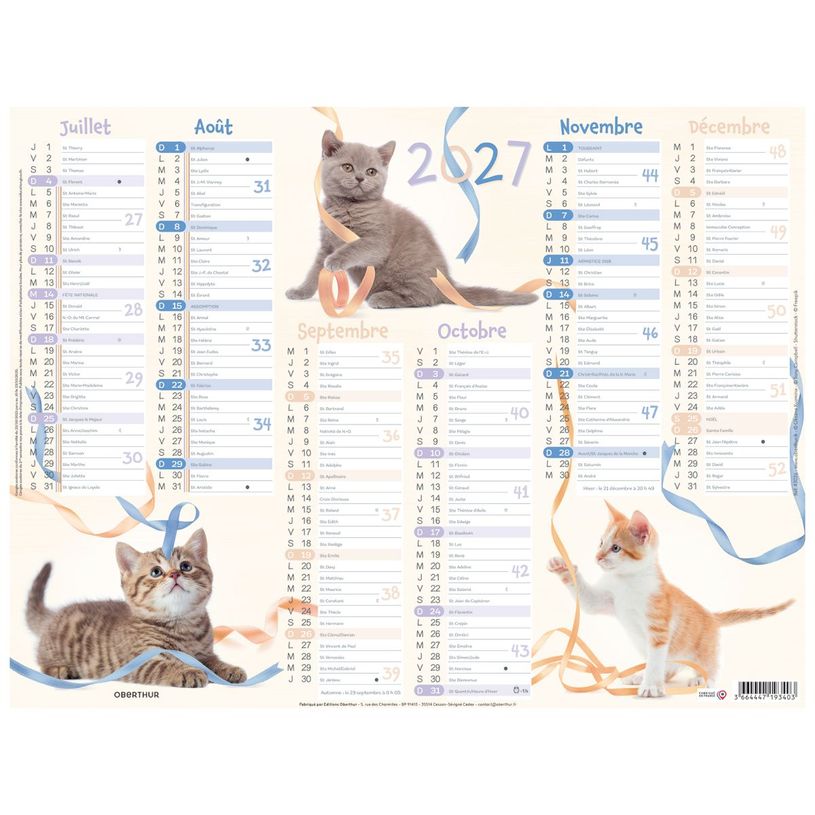 3664447227061-Oberthur C- Calendrier Chatons - 6 mois par page - 420 x 320 mm - daté--1
