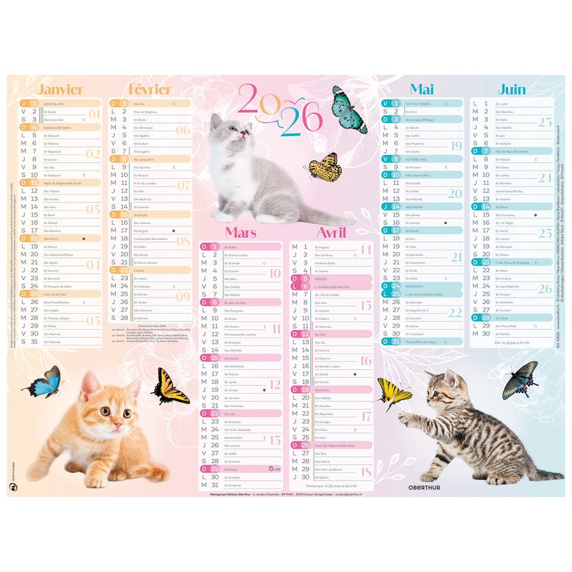 3664447193410-Oberthur - Calendrier Chatons - 6 mois par page - 520 x 405 mm - daté--0