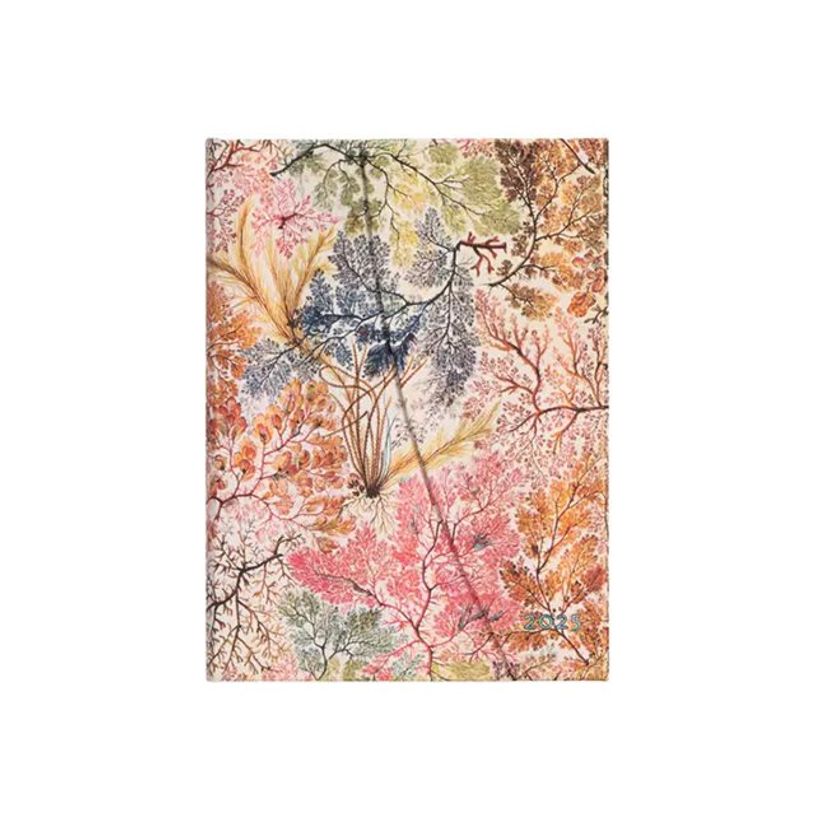 9781408759042-Paperblanks William Kilburn - Agenda - 2025 - semainier - reliure piquée - midi - 125 x 180 mm - 160 pages - papier crème - a-P_405232354_1-0