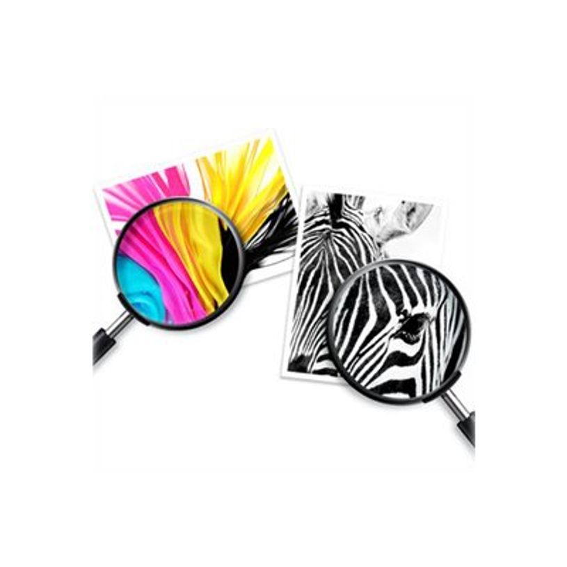 0196786390135-HP 308 - Pack de 2 - noir, jaune, cyan, magenta - cartouche d'encre originale (6L6S6UE)-P_405233056_23-3