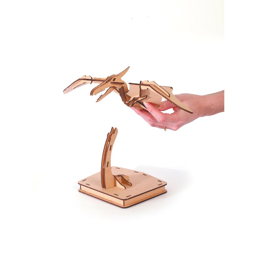 3532436509361-Maquette bois 3D - Pterosaure - 31 pièces--1