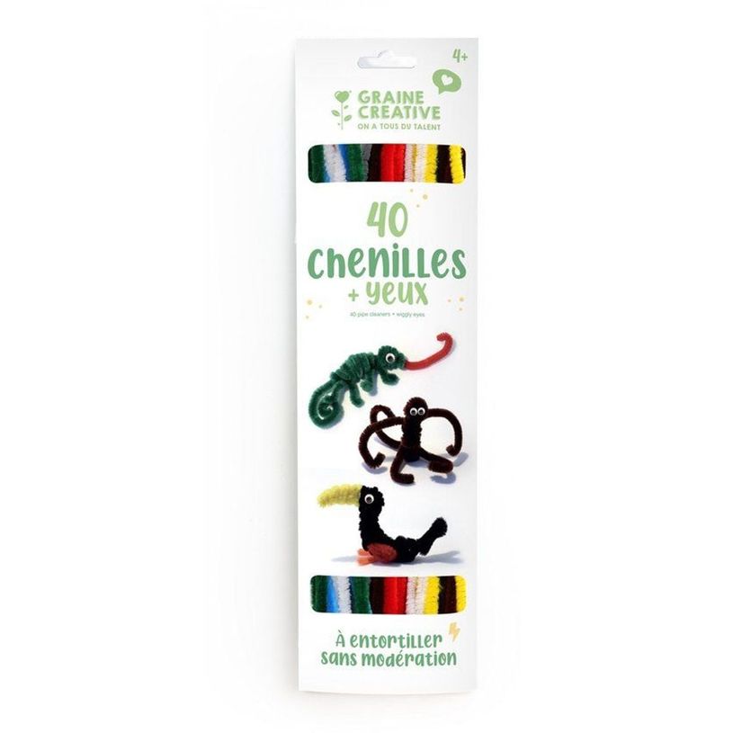 3532437506529-Graine Créative - 40 Fils Chenillés + 24 Yeux Mobiles - Kit Créatif--0
