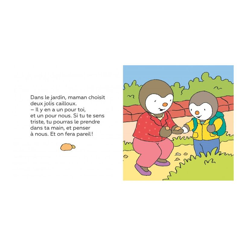 9782095029296-T'choupi dort chez un copain - par Courtin Thierry-P_405235463_3-2