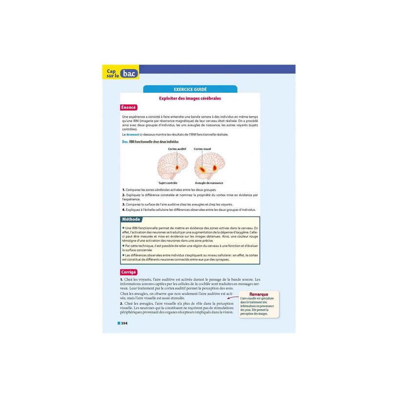 9782095035600-Toutes les matières du tronc commun Première 2024-2025 - ABC Tout-en-un-P_405235472_2-1