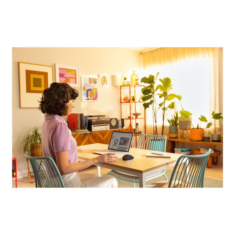 5099206111998-Logitech M240 Silent - Souris sans fil - graphite-P_405236210_1-7