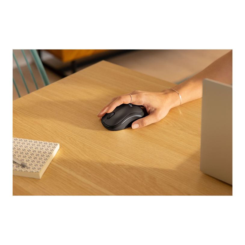 5099206111998-Logitech M240 Silent - Souris sans fil - graphite-P_405236210_2-8