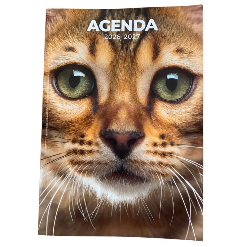 3760139890176-Agenda scolaire chaton - 1 jour par page - 12x17 cm - Les Editions du Belon--0