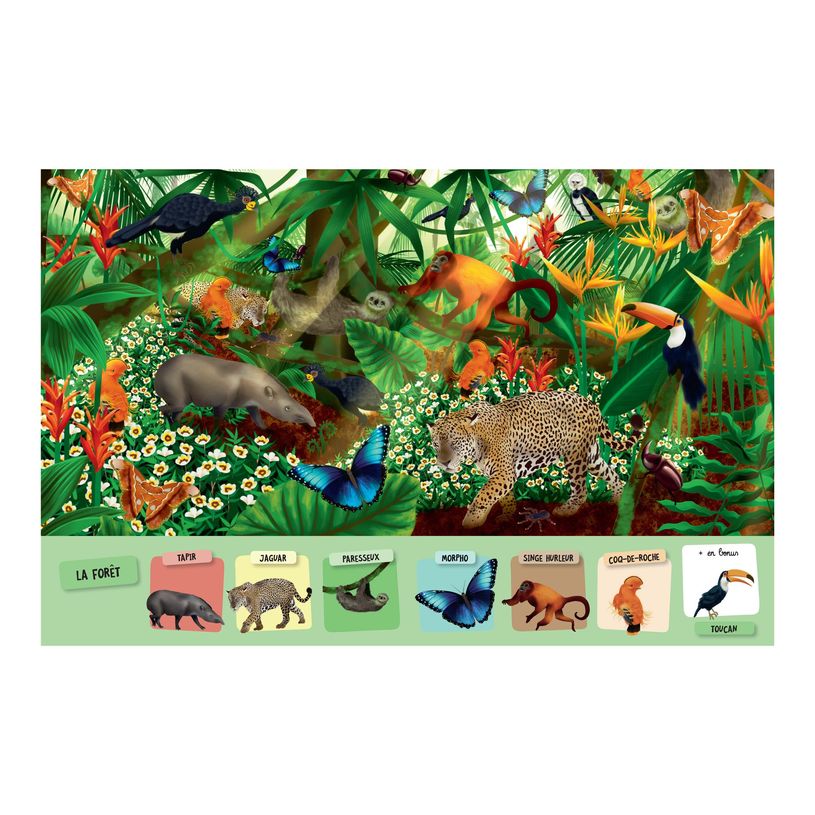 9791029805776-Cherche et Trouve les animaux de Guyane - livre d'images-P_405239748_1-0