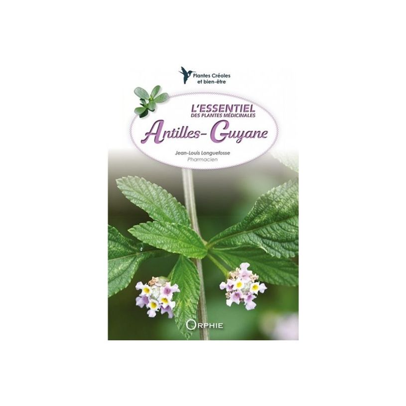 9791029804151-L'essentiel des plantes médicinales Antilles-Guyane - par Longuefosse Jean-Louis - livre-P_405239751_1-0
