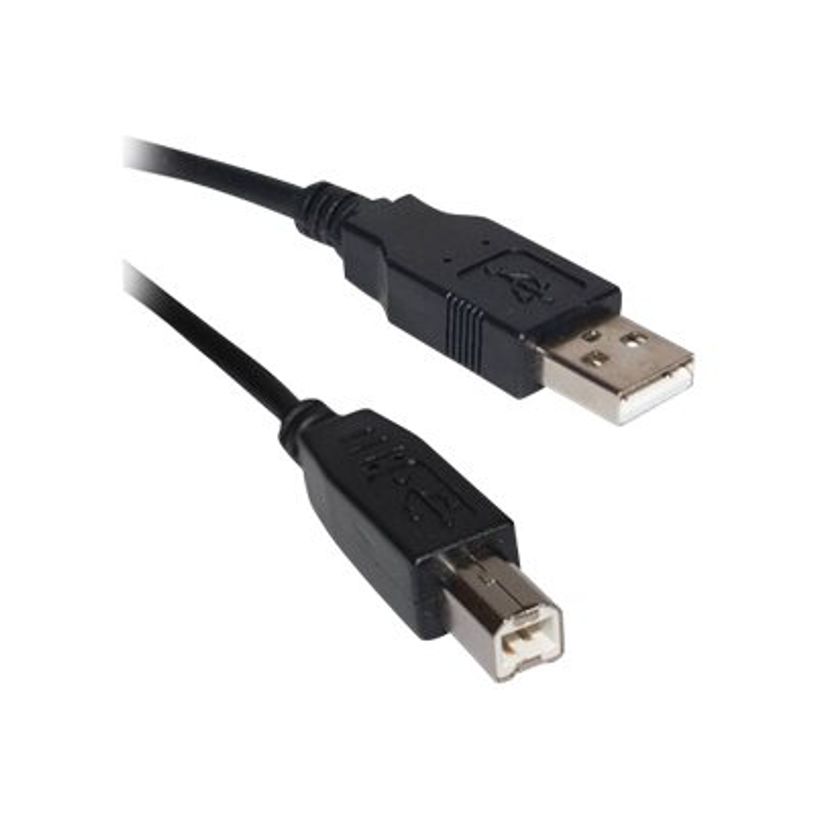 3304490850037-D2 Diffusion - Câble USB type B (M) vers USB (M) - USB 2.0 - 1.8 m-P_405240452_2-0