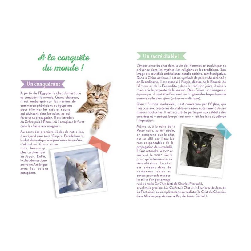 9782036069435-Larousse - Agenda scolaire - 2025-2026 - 1 jour par page - 131 x 190 mm - 320 pages - chat-P_405240851_5-3