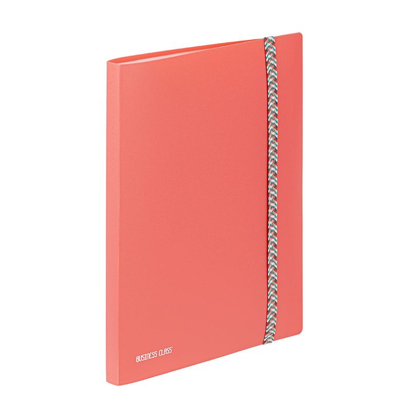 3135252684153-Viquel BUSINESS Class' - Porte vues - 30 compartiments - 60 vues - pour A4 (210 x 297 mm) - dis-P_405240999_3-2