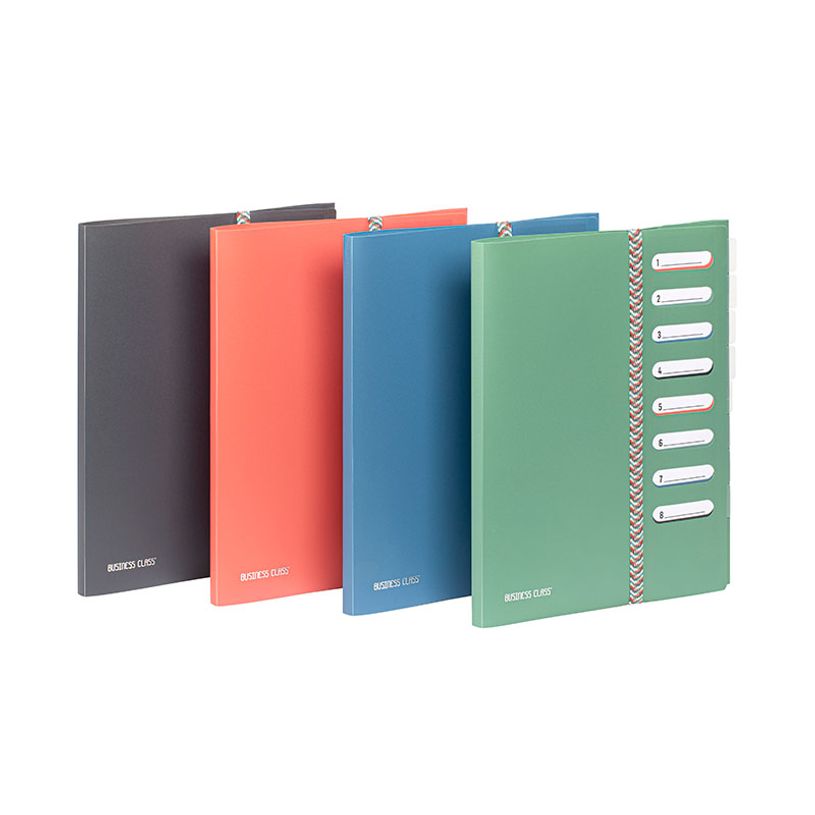 3135259954150-Viquel BUSINESS Class' - Classeur - 9 compartiments - 8 positions - pour A4 (210 x 297 mm) - disponible en di--0