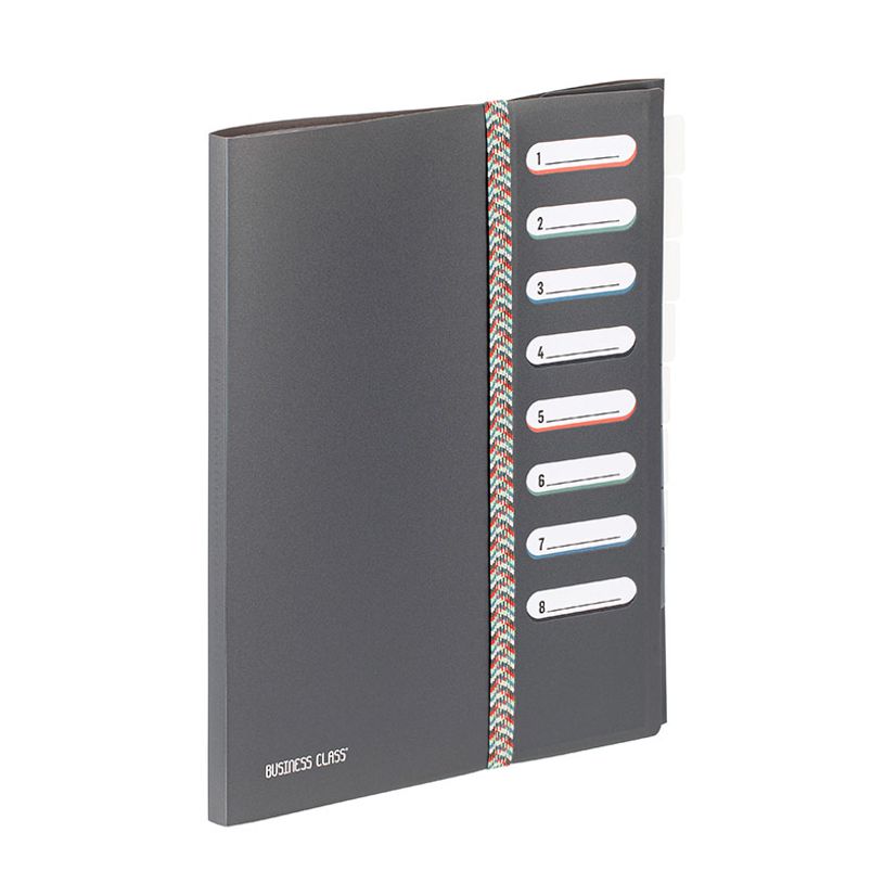 3135259954150-Viquel BUSINESS Class' - Classeur - 9 compartiments - 8 positions - pour A4 (210 x 297 mm) - disponible en di--2