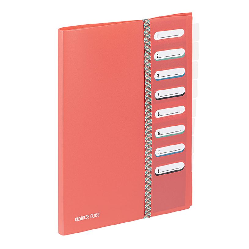 3135259954150-Viquel BUSINESS Class' - Classeur - 9 compartiments - 8 positions - pour A4 (210 x 297 mm) - disponible en di--3