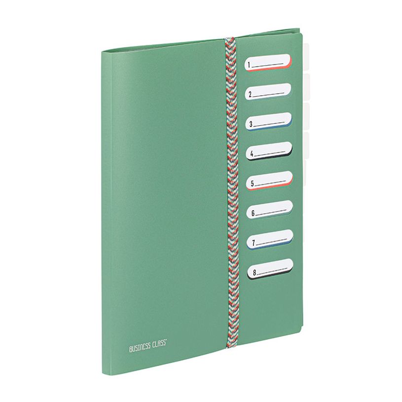 3135259954150-Viquel BUSINESS Class' - Classeur - 9 compartiments - 8 positions - pour A4 (210 x 297 mm) - disponible en di--4