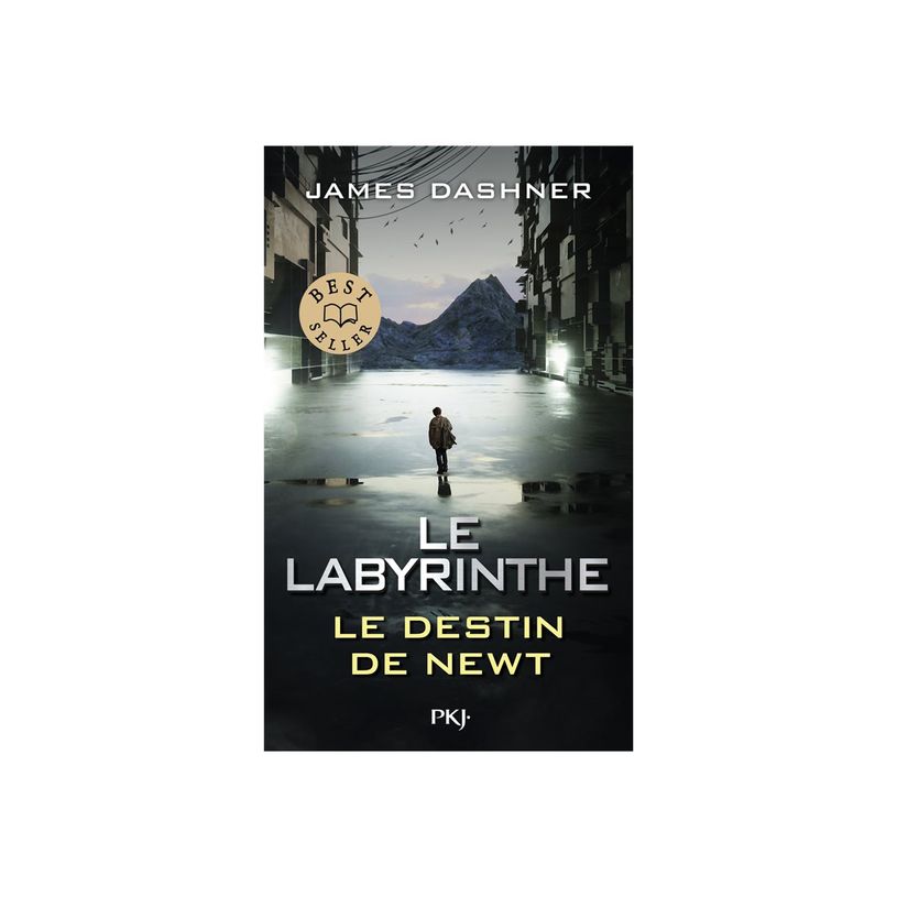 9782266329743-Le Labyrinthe : Le destin de Newt-P_405241324_1-0