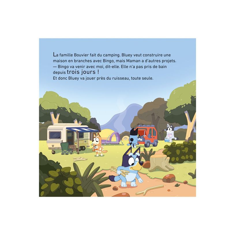 9782017246657-Bluey - Camping-P_405242058_2-3